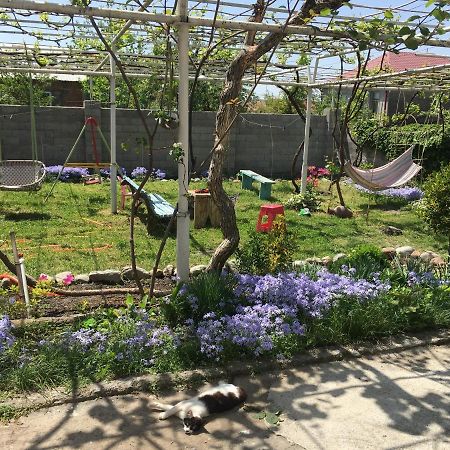 Guesthouse Aisi In Лагодехи Екстериор снимка