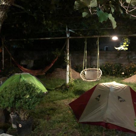 Guesthouse Aisi In Лагодехи Екстериор снимка