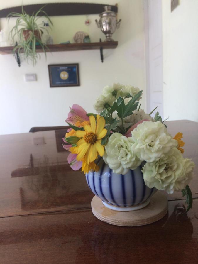 Guesthouse Aisi In Лагодехи Екстериор снимка