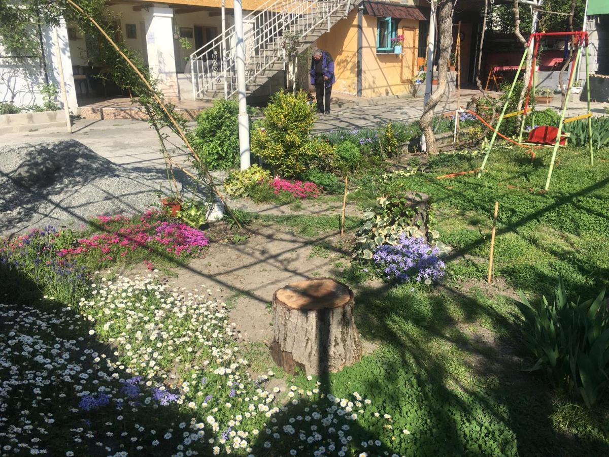 Guesthouse Aisi In Лагодехи Екстериор снимка