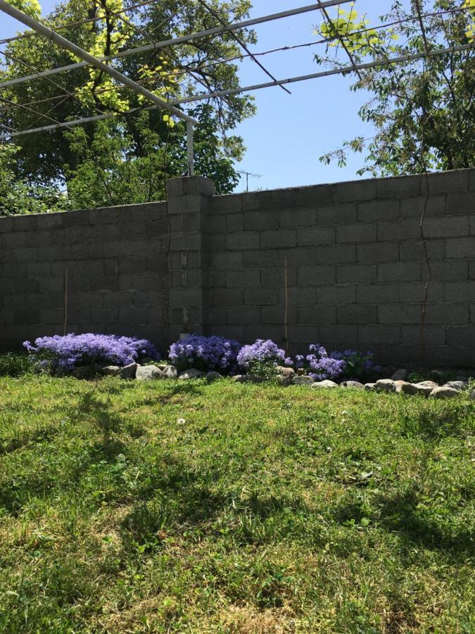 Guesthouse Aisi In Лагодехи Екстериор снимка