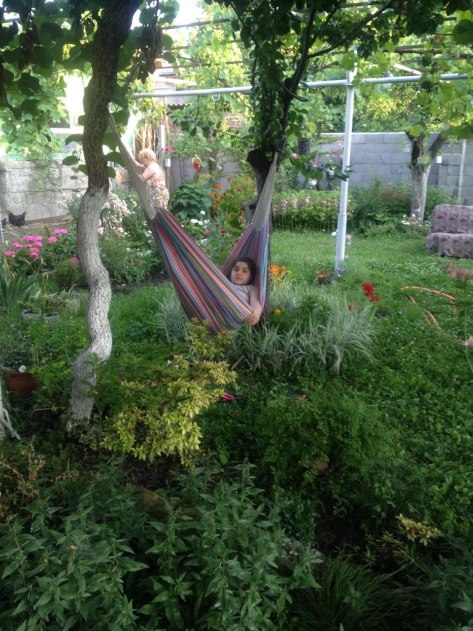 Guesthouse Aisi In Лагодехи Екстериор снимка